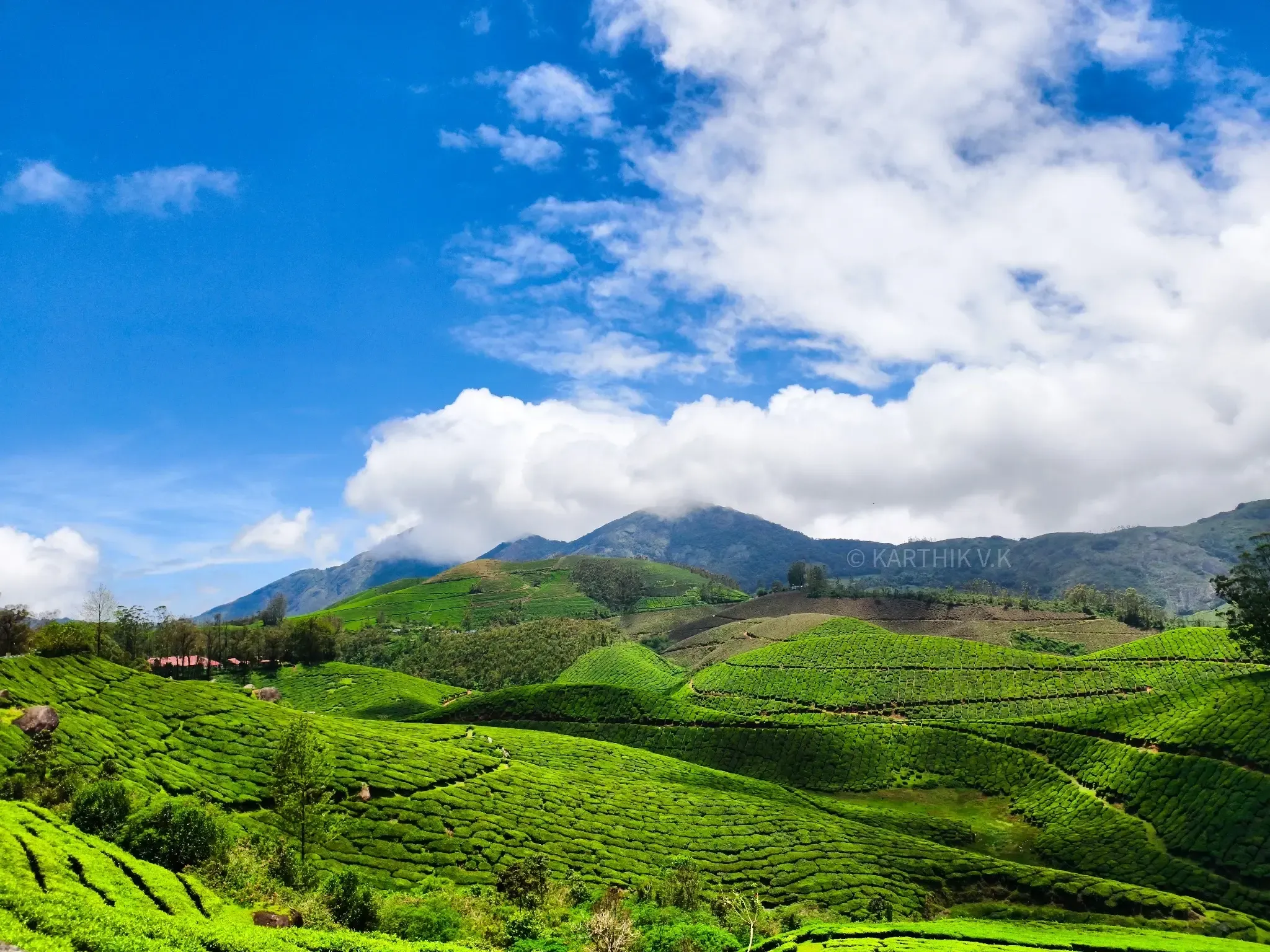 Landscape 2